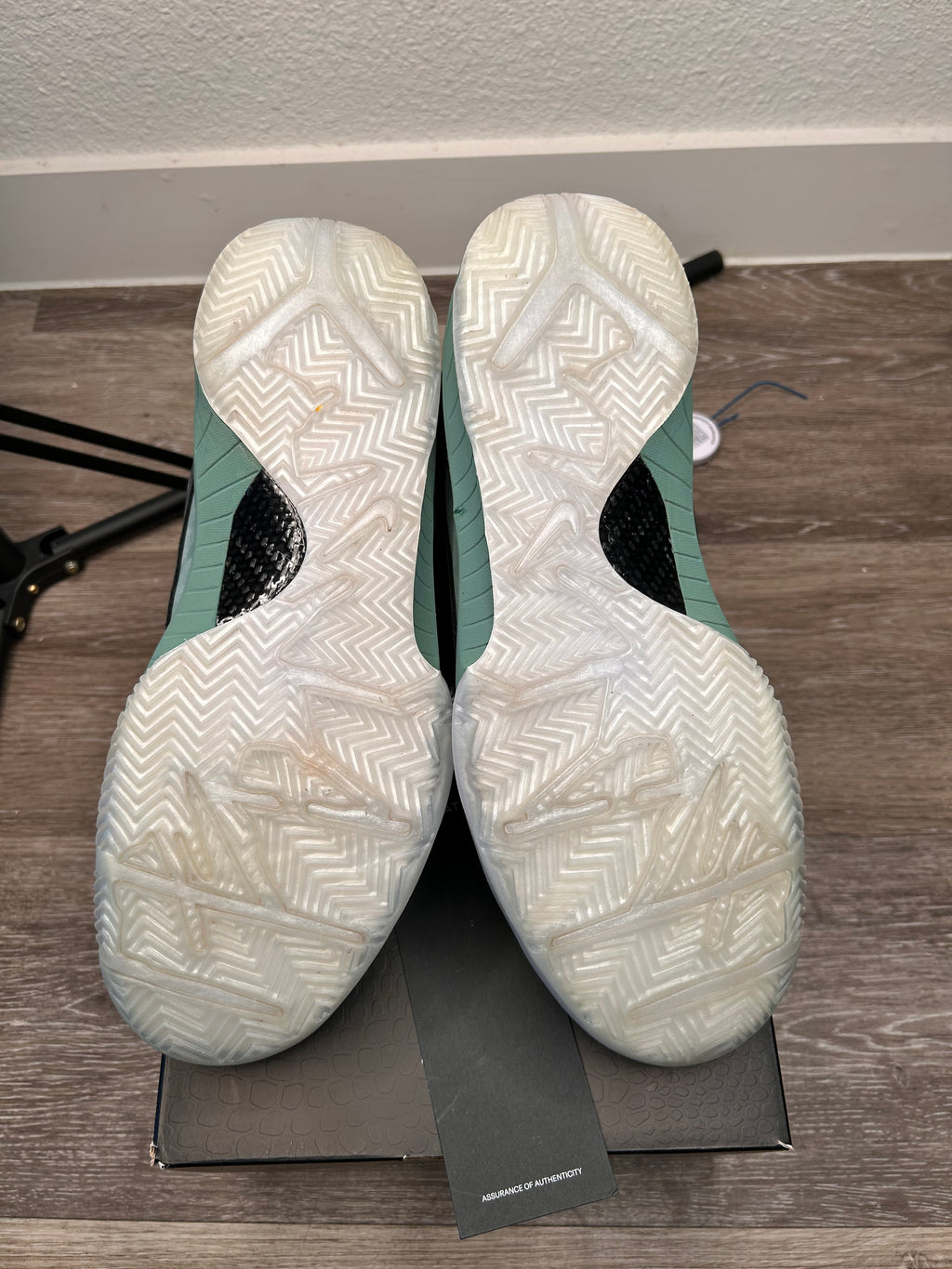 Men’s Size 11 - Nike Zoom Kobe 4 Protro Girl Dad FQ3545-300 (2024)