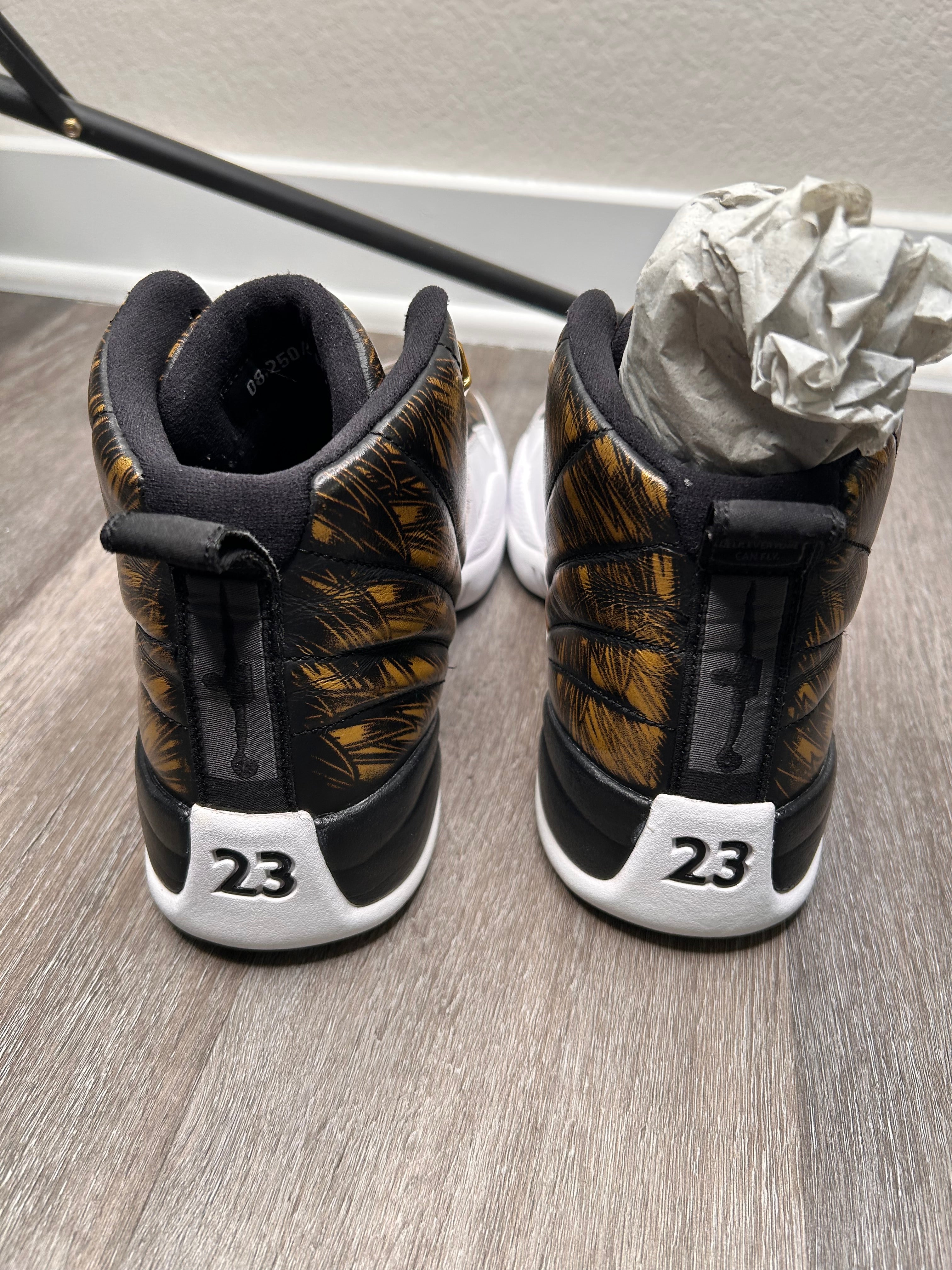 Nike air retro Jordan 12 XII WINGS (2016) size 10.5